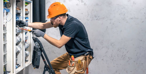 Best Electric Panel Repair  in Anahuac, TX